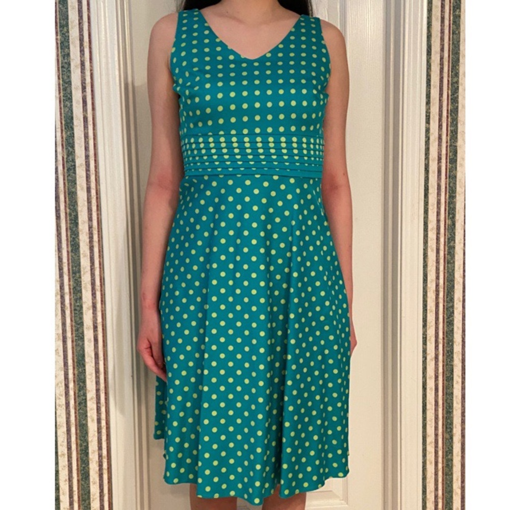 Amanda Smith Petite Dress